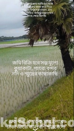 Cont.01610386131 জমি বিক্রি হবে  ১০ একর অনেক জমি খুবকম দামে